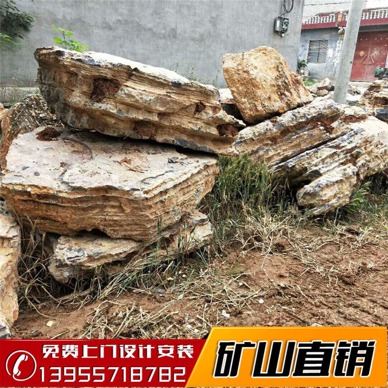 山東千層石圖片/山東千層石樣板圖 (1)