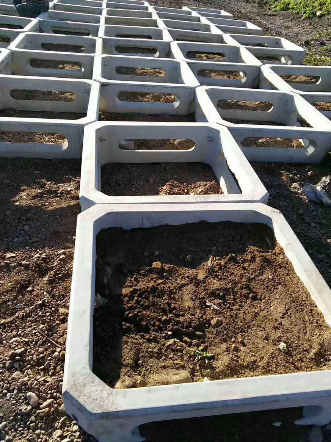 護(hù)坡模具圖片/護(hù)坡模具樣板圖 (1)