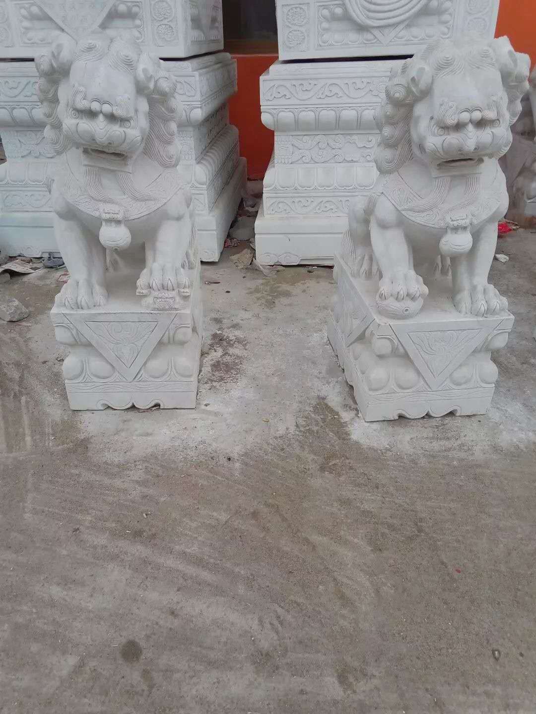 獅子圖片/獅子樣板圖 (3)