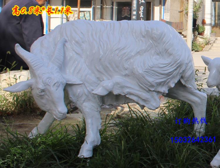 山羊圖片/山羊樣板圖 (1)