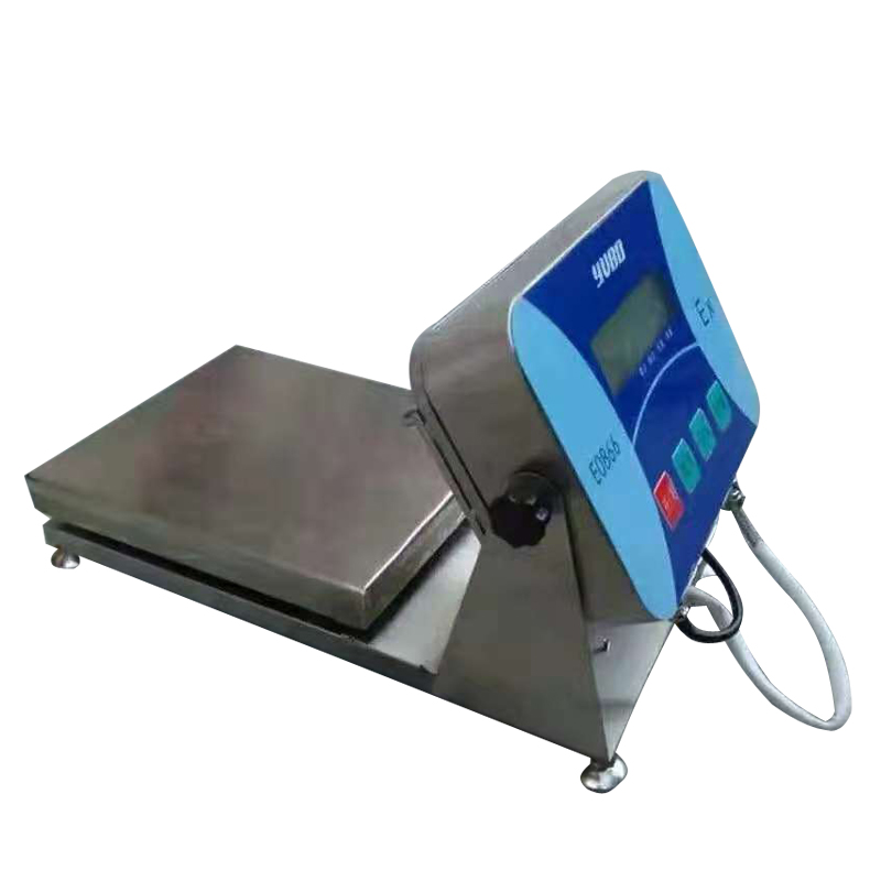 防爆秤圖片/防爆秤樣板圖 (4)