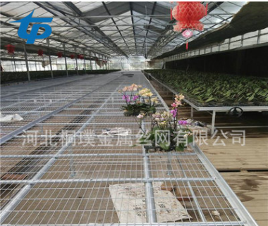 花卉苗床 灌溉式栽培架可移動苗床批發(fā)價格 溫室固定育苗床 養(yǎng)殖大棚苗床廠家直銷