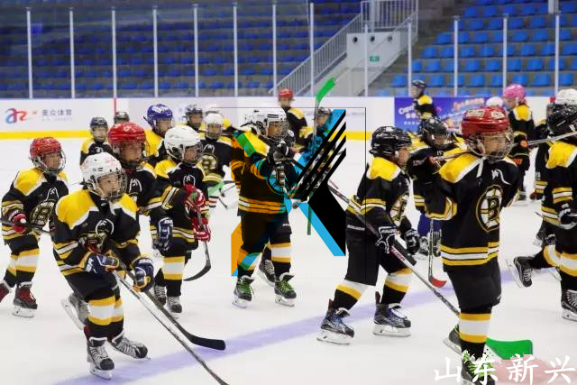 廠家*可拆卸冰球場(chǎng)安全圍欄擋板