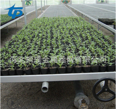 大棚床圖片/大棚床樣板圖 (3)