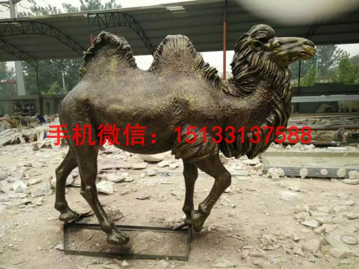 駱駝雕塑圖片/駱駝雕塑樣板圖 (2)