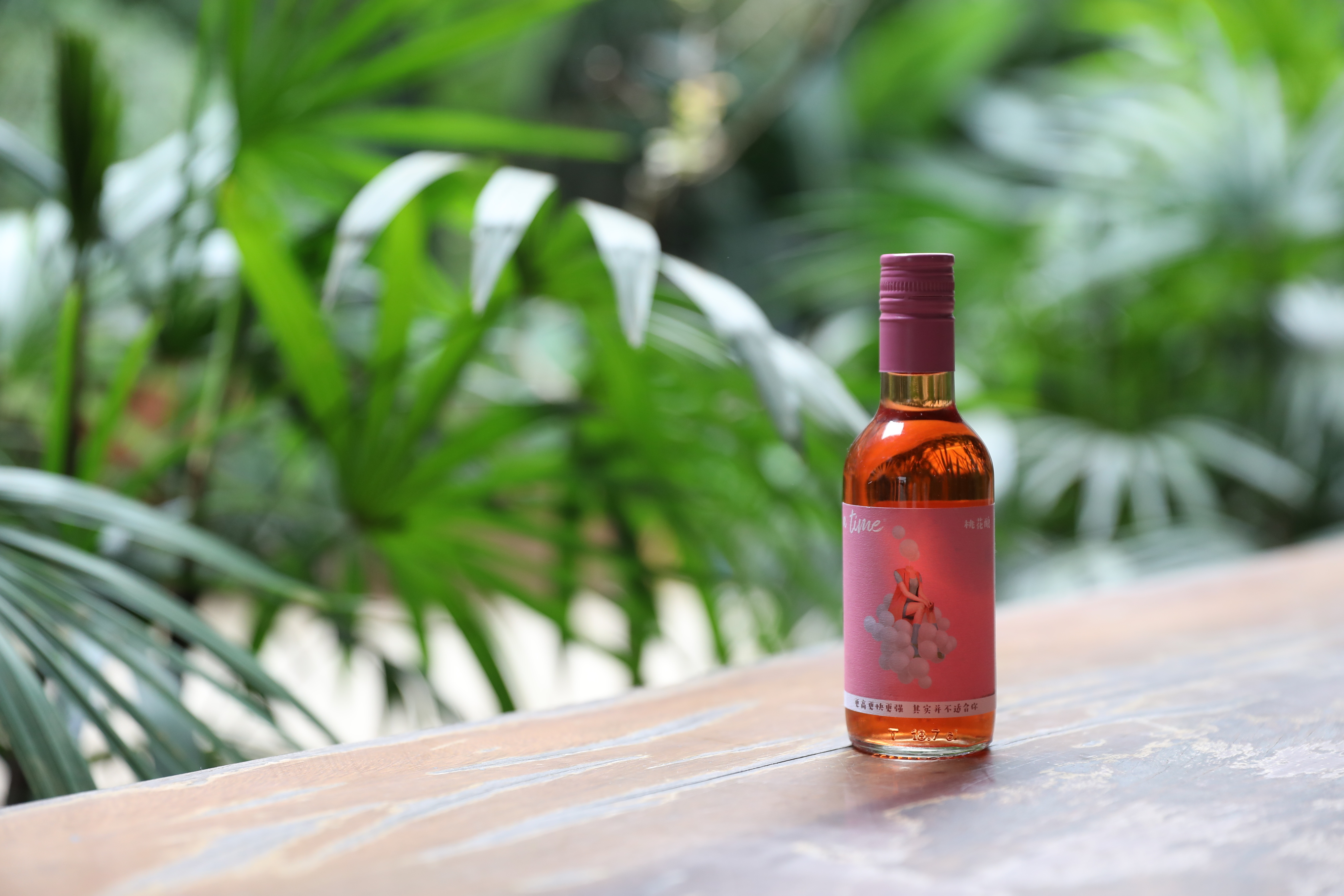 聚會圖片/聚會樣板圖 (4)