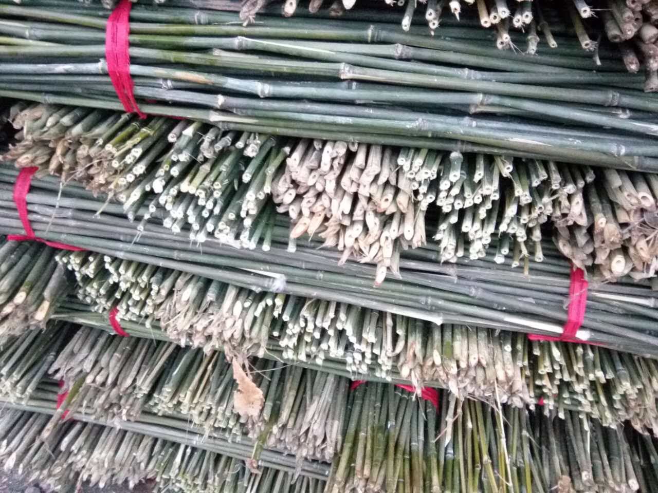 農(nóng)用竹竿批發(fā)報(bào)價(jià) 浙江裝飾竹竿批發(fā) 浙江裝飾竹竿批發(fā)報(bào)價(jià) 支撐竹桿山藥種植竹子 種植竹子批發(fā) 農(nóng)用竹竿批發(fā)報(bào)價(jià)
