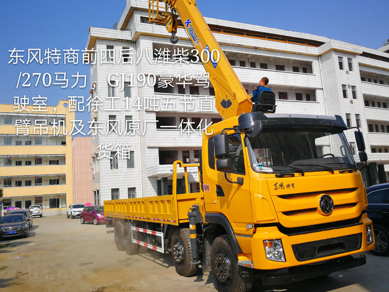 東風特商前四后八徐工14噸雙聯(lián)泵圖片/東風特商前四后八徐工14噸雙聯(lián)泵樣板圖 (1)