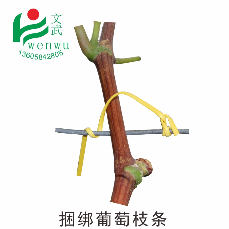 葡萄綁枝卡 電鍍鋅包塑園林鐵絲圖片/葡萄綁枝卡 電鍍鋅包塑園林鐵絲樣板圖 (1)