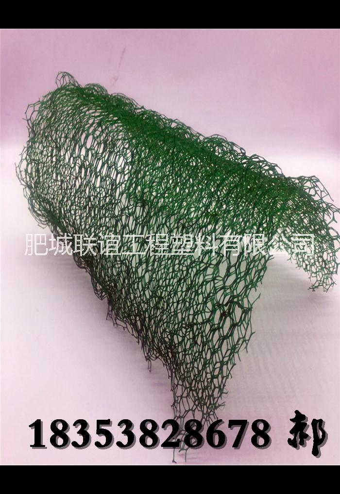 三維植被網(wǎng)圖片/三維植被網(wǎng)樣板圖 (2)