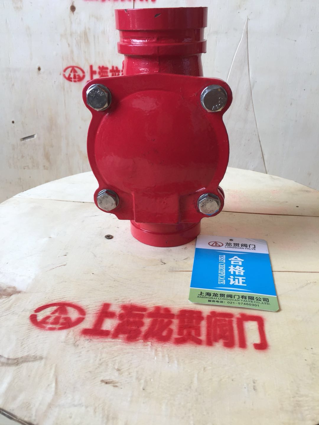 橡膠瓣止回閥圖片/橡膠瓣止回閥樣板圖 (2)