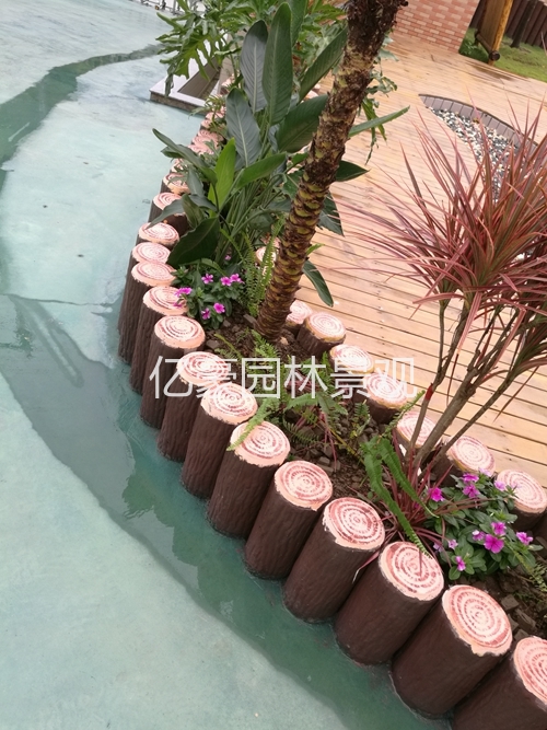 樹(shù)樁圖片/樹(shù)樁樣板圖 (2)