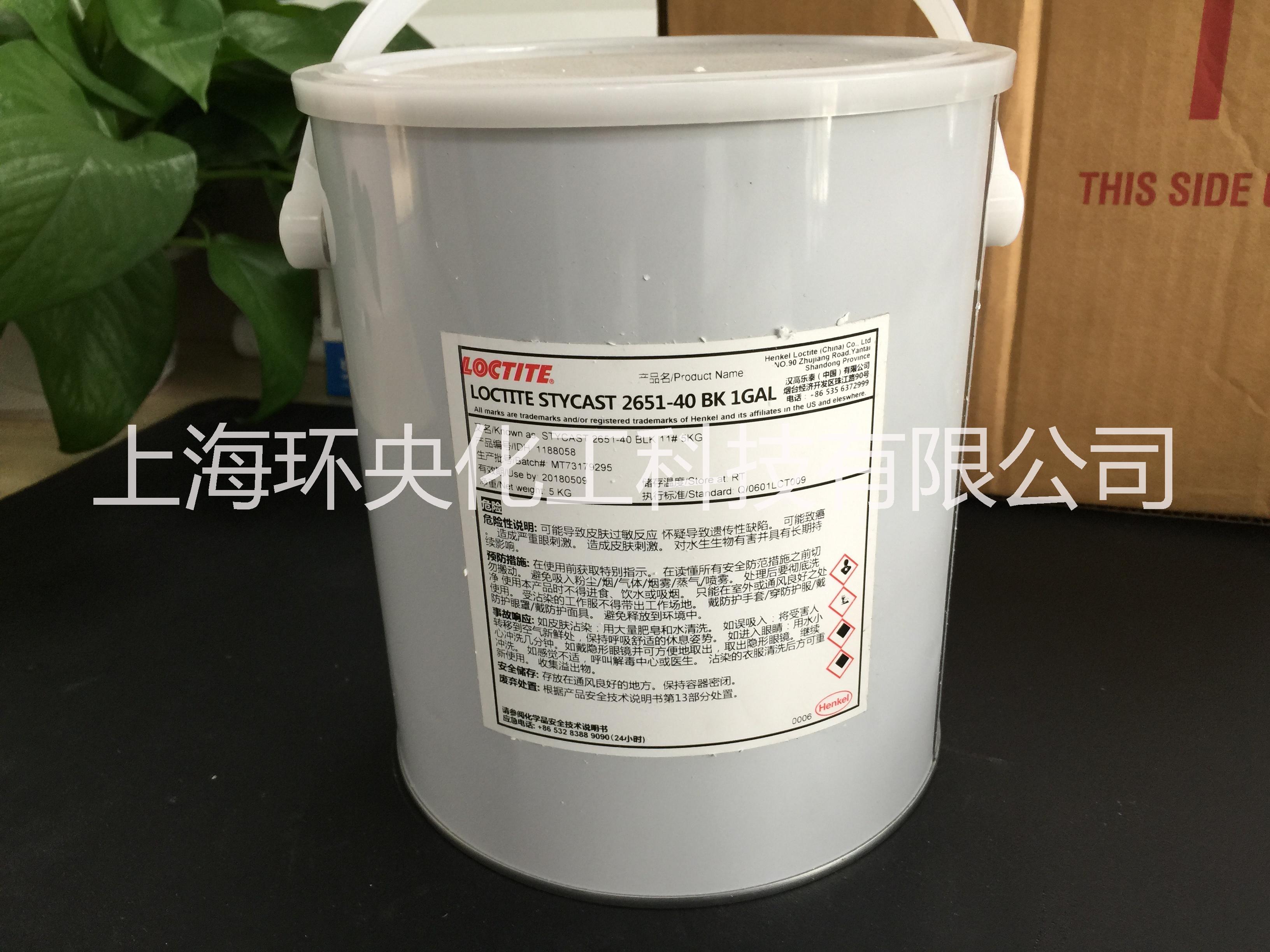 LOCTITE 2651MM樂泰 2651MM 環(huán)氧 2651MM