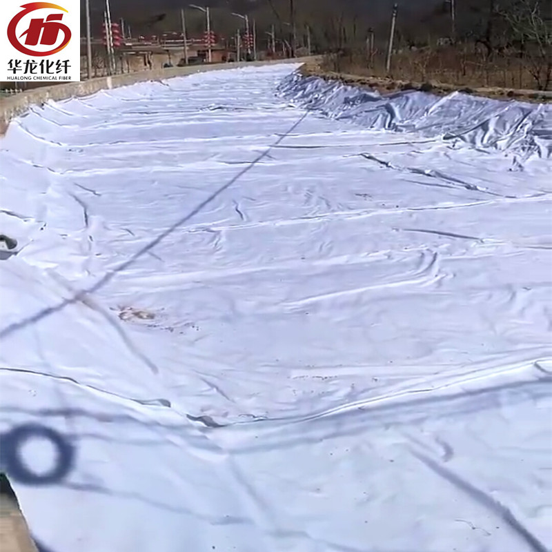 復合土工膜圖片/復合土工膜樣板圖 (4)