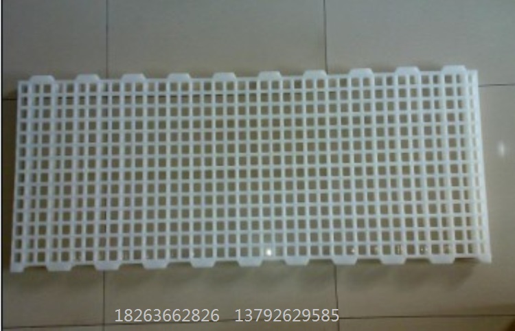 雞用漏糞板 漏糞地板圖片 防滑塑料漏糞地板