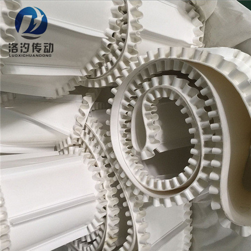 裙邊擋板輸送帶圖片/裙邊擋板輸送帶樣板圖 (2)