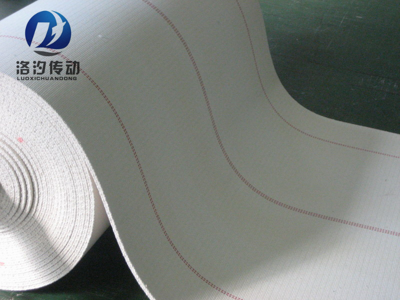 滌棉帆布輸送帶圖片/滌棉帆布輸送帶樣板圖 (4)