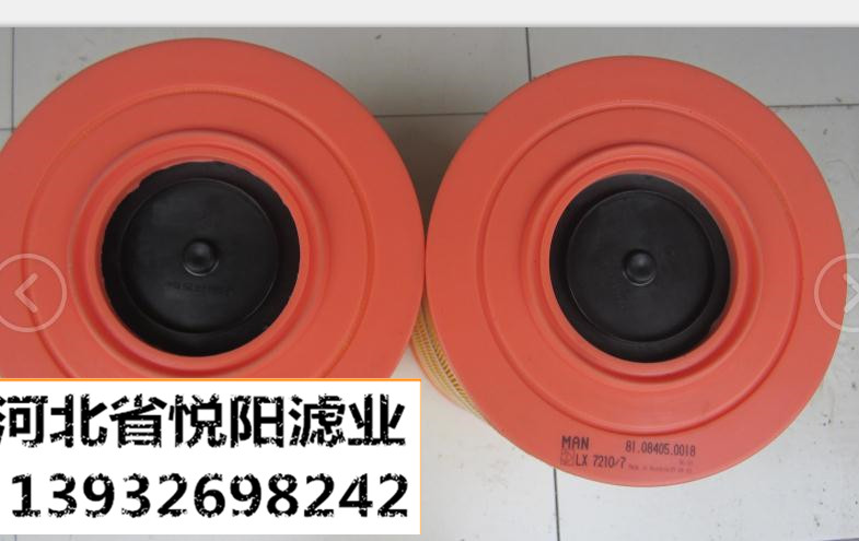 81.08405-0018猛獅濾