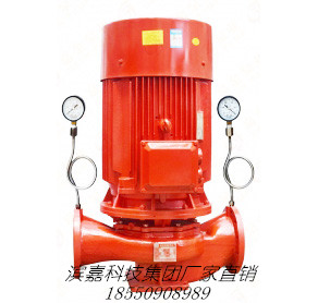 濱嘉科技集團(tuán)廠家直銷XBD-ISG型立式單級(jí)消防泵
