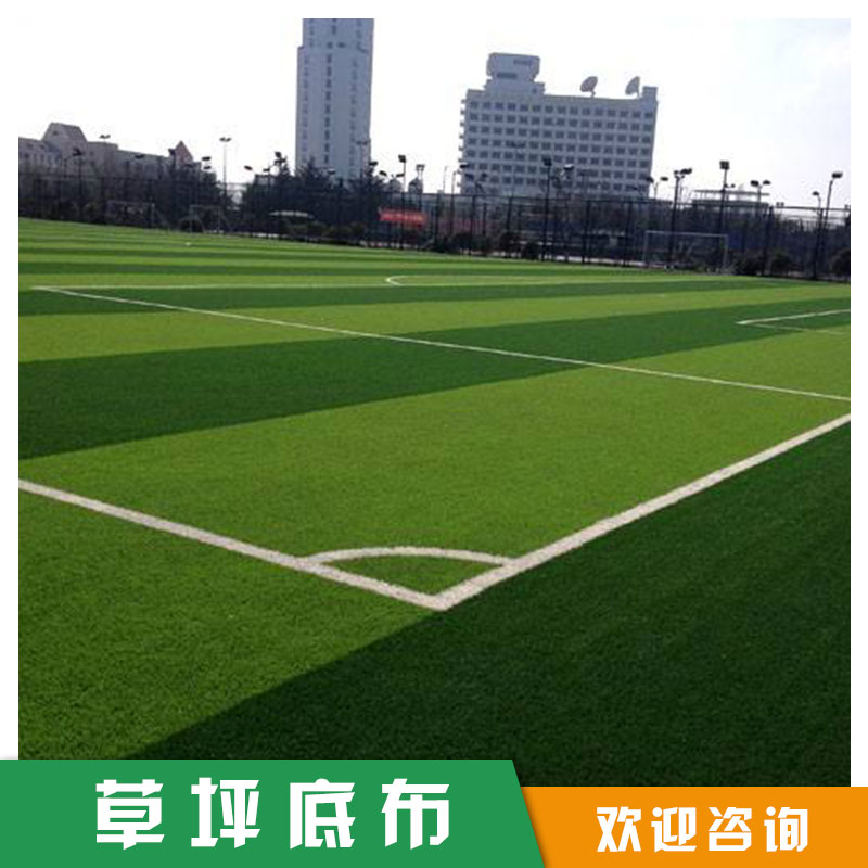 草坪底布圖片/草坪底布樣板圖 (1)