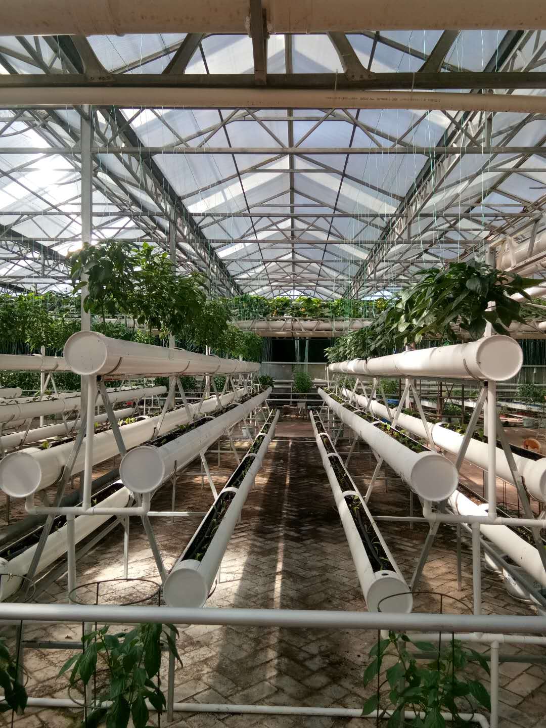 玻璃溫室圖片/玻璃溫室樣板圖 (2)