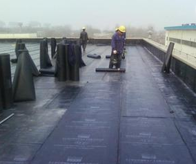 東莞防水補(bǔ)漏圖片/東莞防水補(bǔ)漏樣板圖 (2)