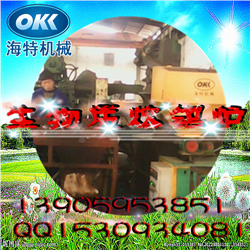 生物質(zhì)熔煉爐圖片/生物質(zhì)熔煉爐樣板圖 (3)