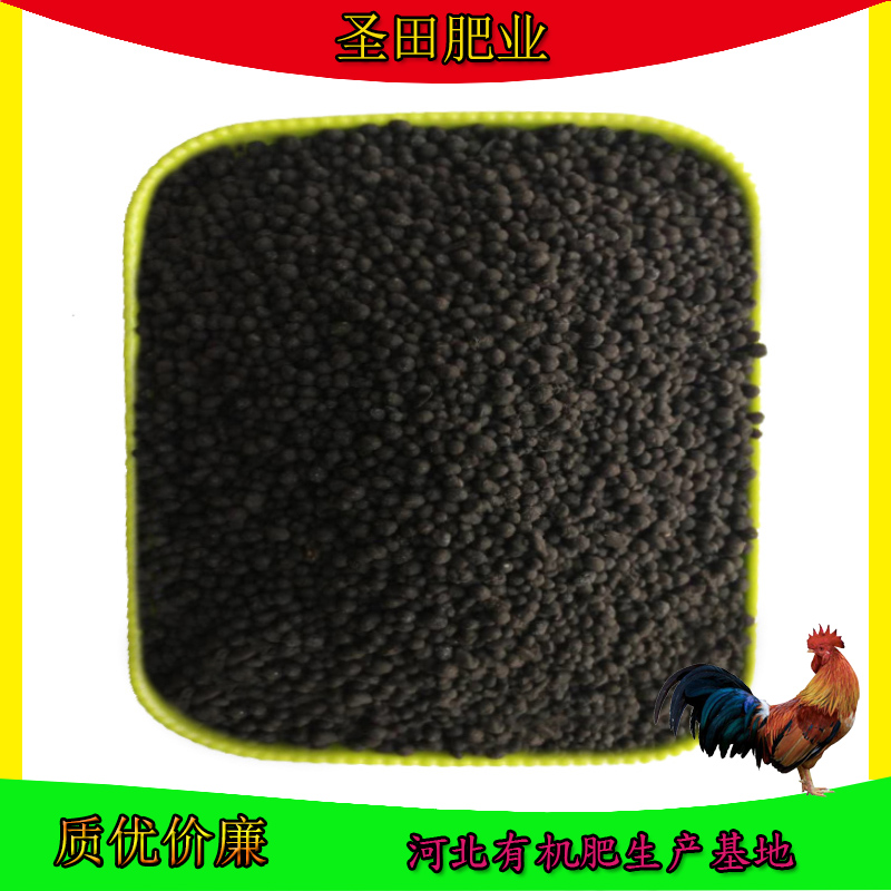 干雞糞圖片/干雞糞樣板圖 (2)