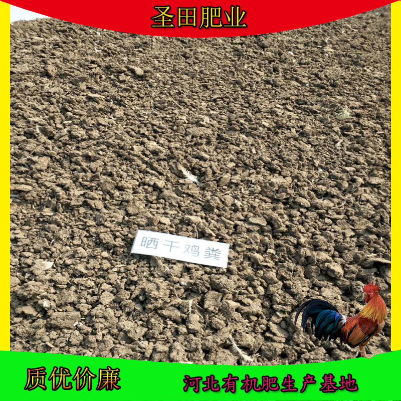 干雞糞圖片/干雞糞樣板圖 (4)