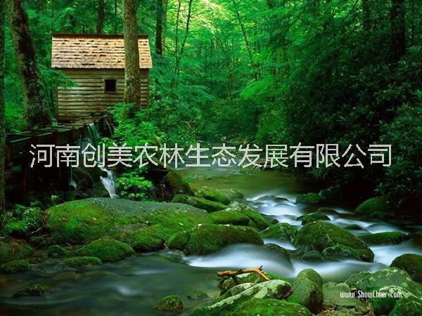 新鄉(xiāng)創(chuàng)美林地可行性報(bào)告,征收使用林地可行性報(bào)告,林地可行性報(bào)告服務(wù)