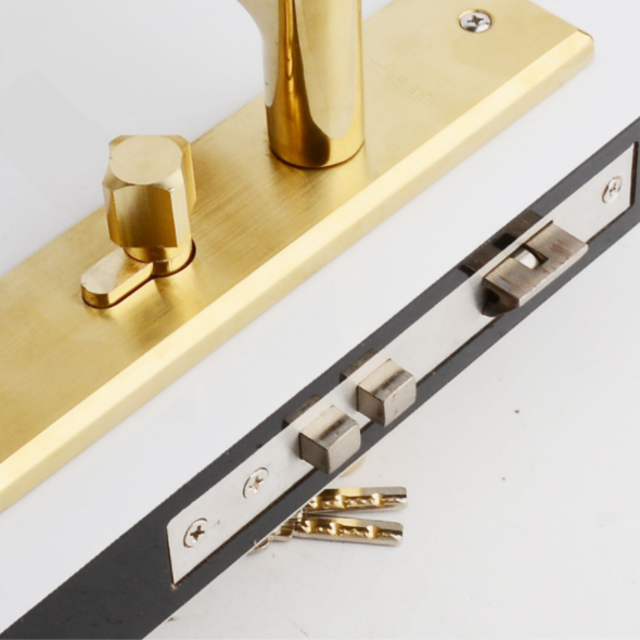 門鎖執(zhí)手圖片/門鎖執(zhí)手樣板圖 (4)