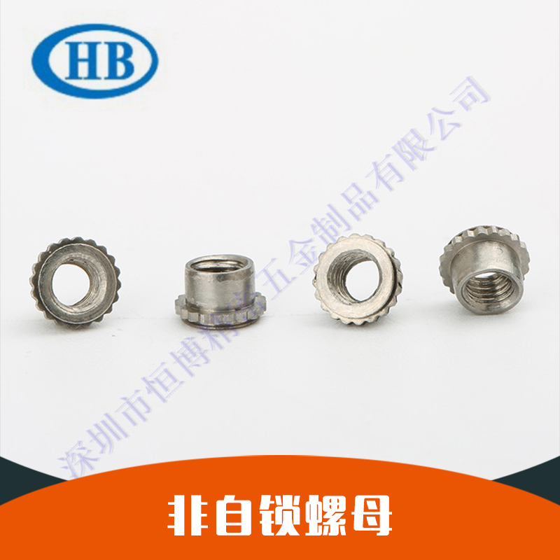 自鎖螺母圖片/自鎖螺母樣板圖 (2)