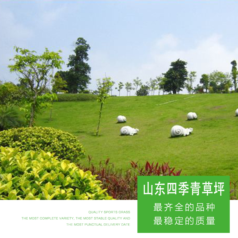 四季青圖片/四季青樣板圖 (2)
