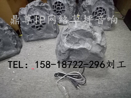 IP網(wǎng)絡(luò)草坪音箱圖片/IP網(wǎng)絡(luò)草坪音箱樣板圖 (1)