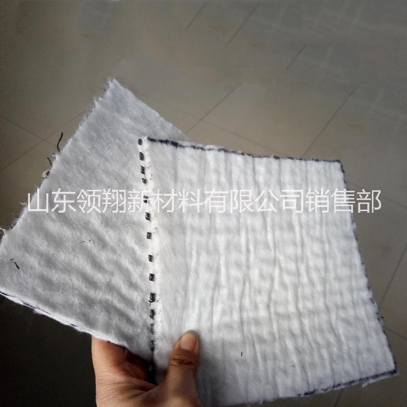 復合土工排水網(wǎng)圖片/復合土工排水網(wǎng)樣板圖 (2)