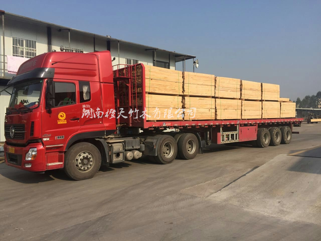 湖南橙天竹木 建筑木方 方木  方條 木方