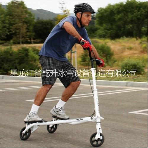 陸雪兩用滑雪車圖片/陸雪兩用滑雪車樣板圖 (4)