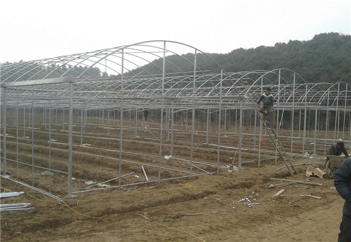 蔬菜大棚圖片/蔬菜大棚樣板圖 (4)