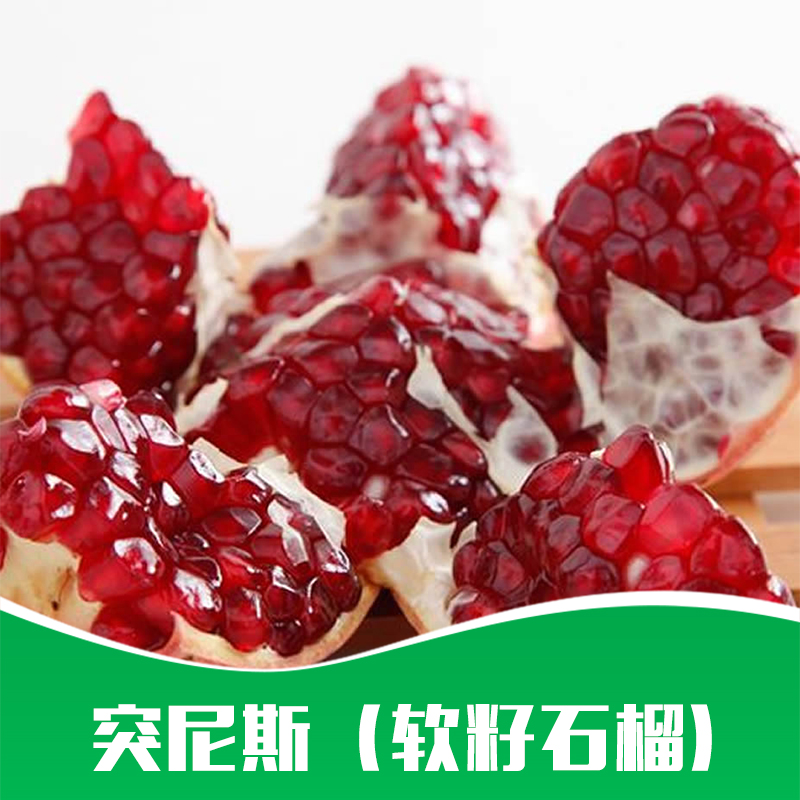 突尼斯（軟籽石榴）圖片/突尼斯（軟籽石榴）樣板圖 (3)