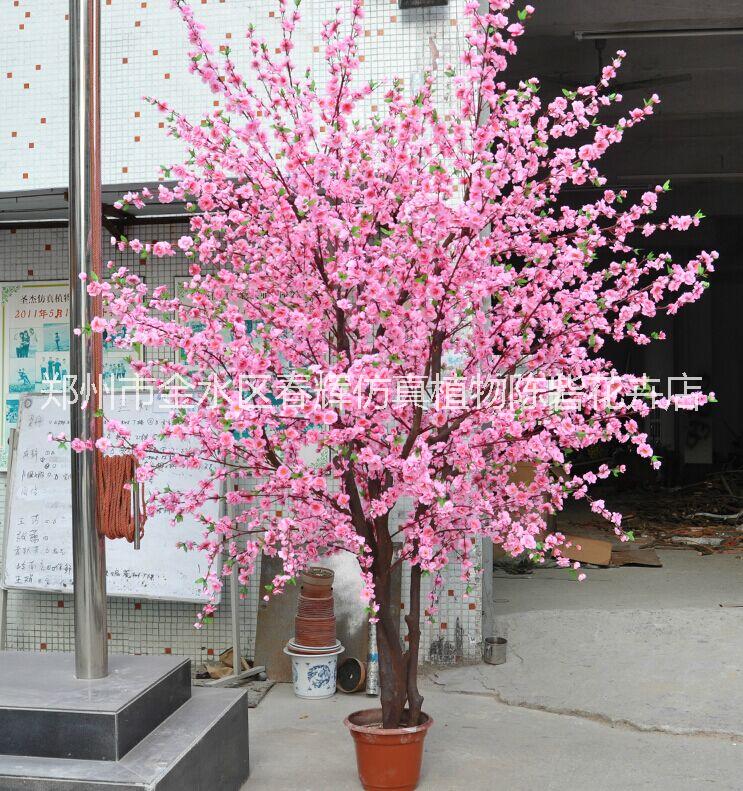 仿真植物圖片/仿真植物樣板圖 (4)