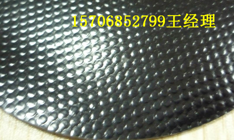 PVC涂層夾網(wǎng)布圖片/PVC涂層夾網(wǎng)布樣板圖 (2)