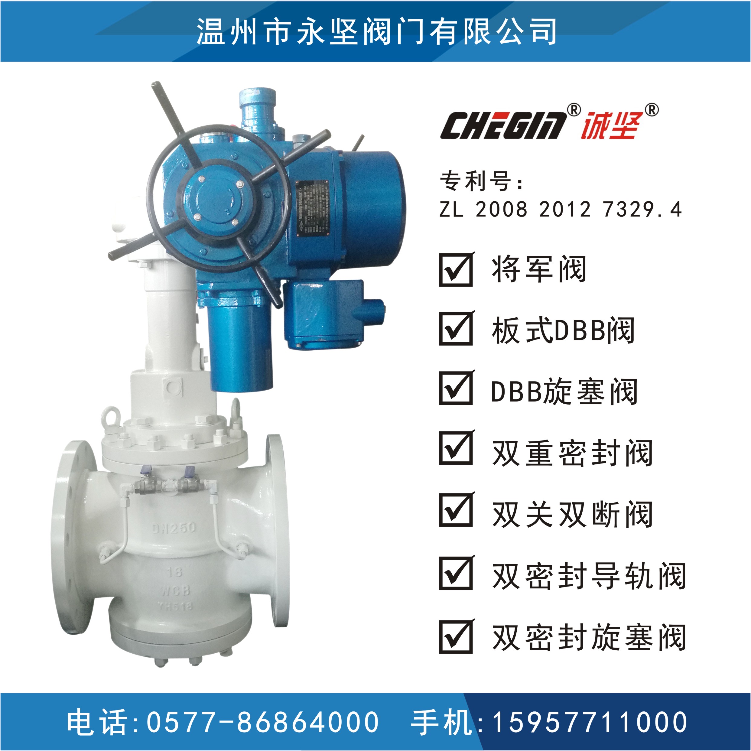 電動板式DBB閥圖片