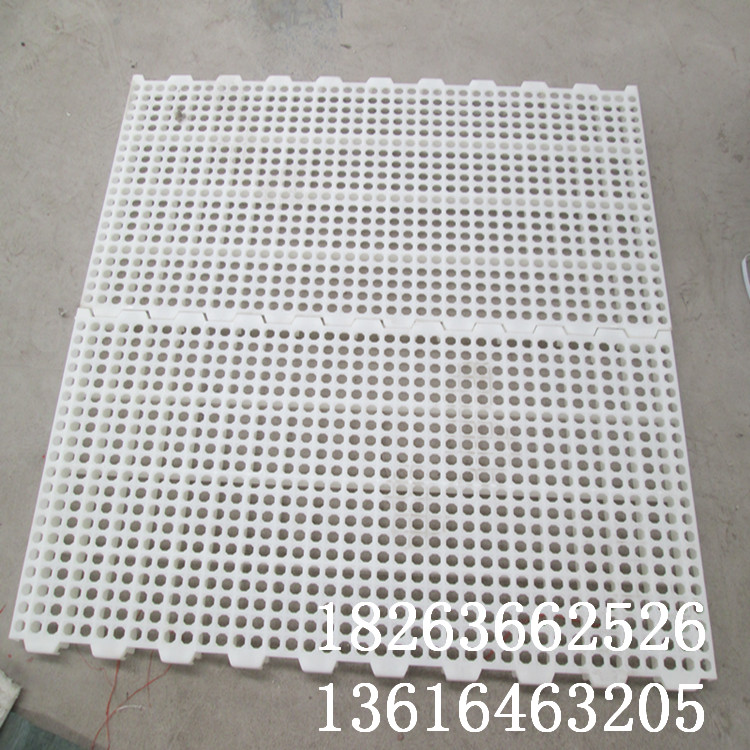 圓孔育雛地板圖片/圓孔育雛地板樣板圖 (1)