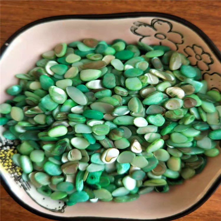 彩色貝殼圖片/彩色貝殼樣板圖 (3)