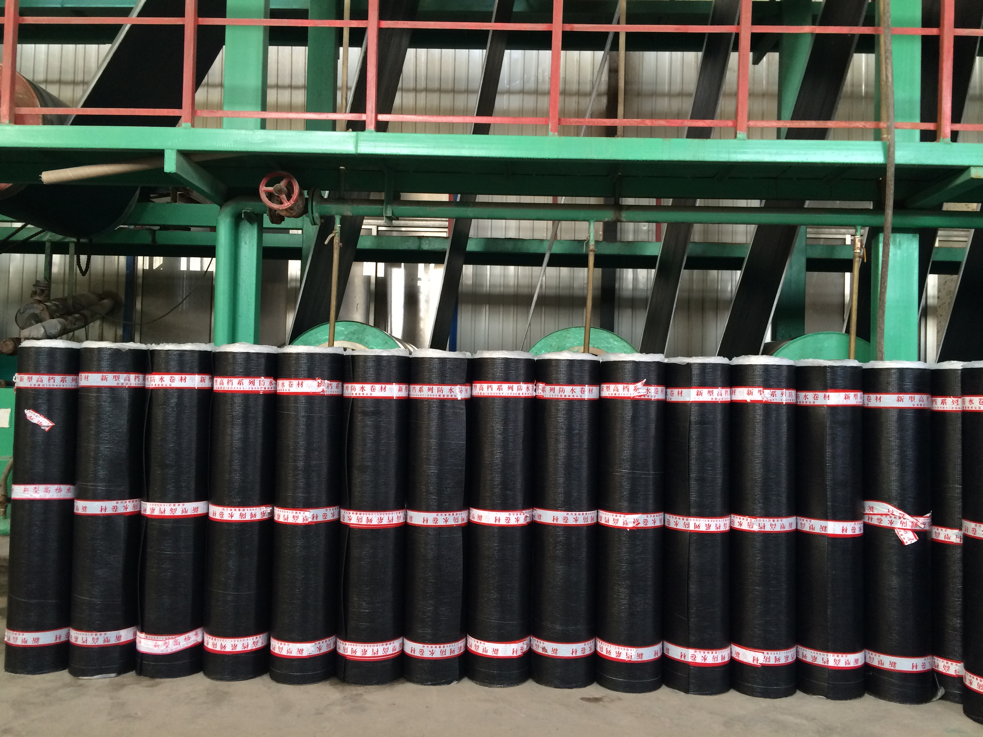 彈性體圖片/彈性體樣板圖 (3)