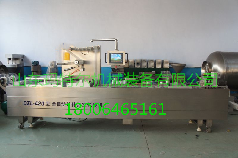 豆制品全自動(dòng)連續(xù)拉伸膜包裝機(jī)圖片