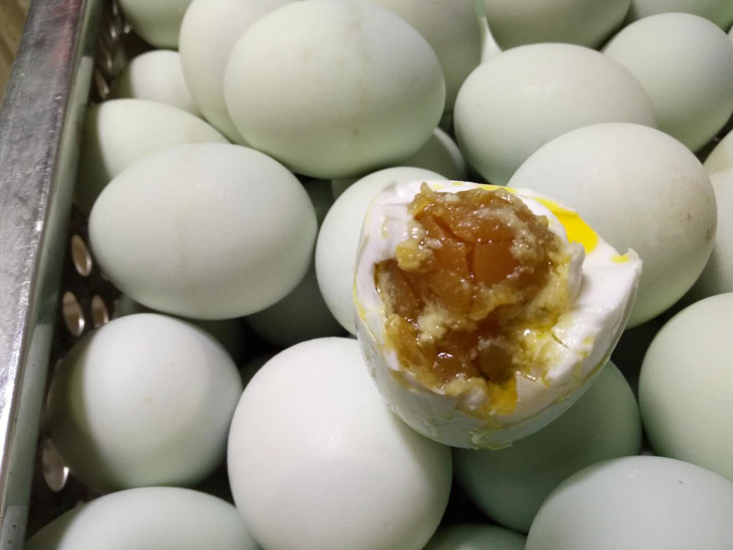 海鴨蛋圖片/海鴨蛋樣板圖 (2)