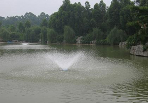 浮水泵圖片/浮水泵樣板圖 (1)