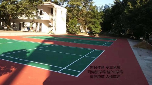塑膠排球場(chǎng)圖片/塑膠排球場(chǎng)樣板圖 (3)