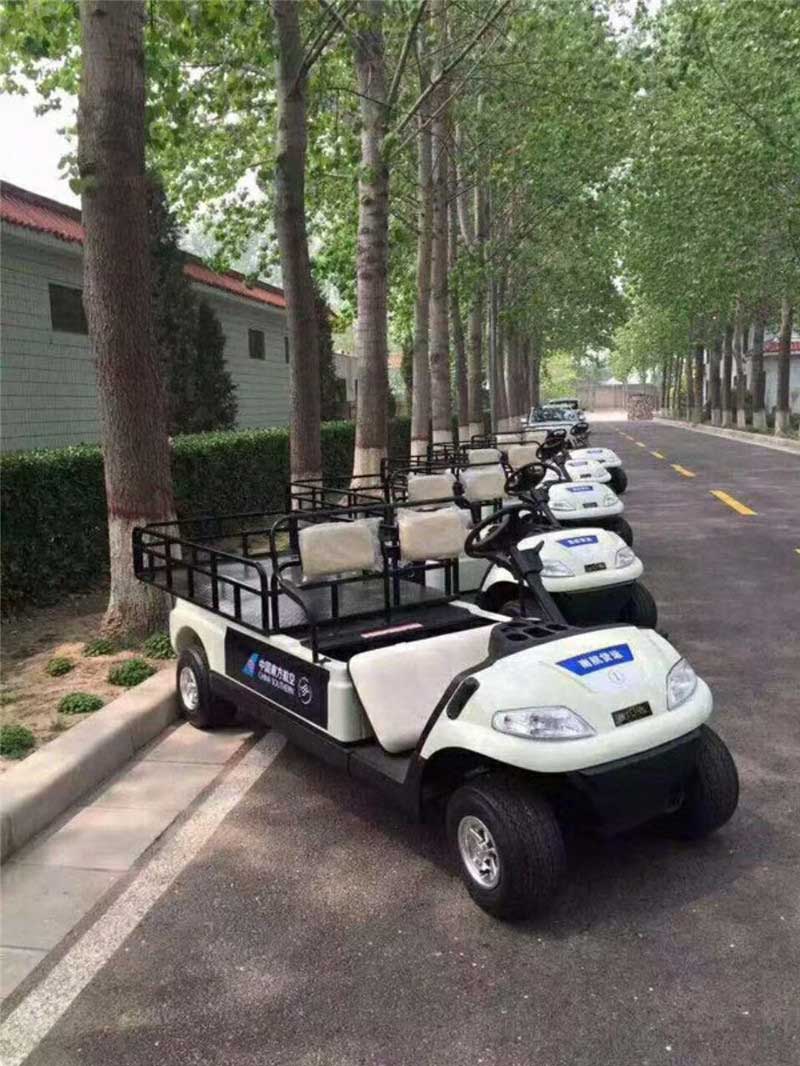 電動(dòng)老爺車圖片/電動(dòng)老爺車樣板圖 (4)